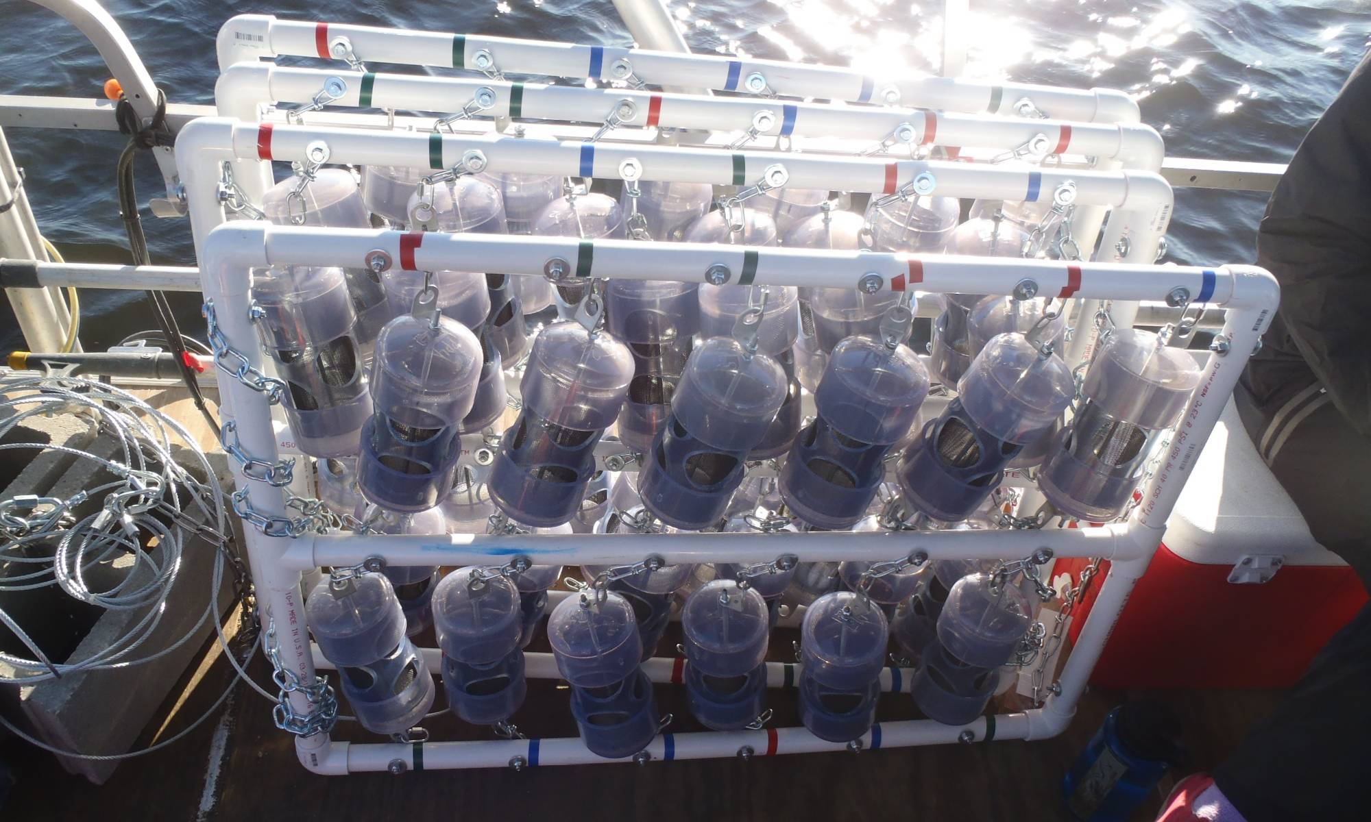 Microplastic field incubator array - a series of PVC tubes containing virgin microplastic, sealed by fine wire mesh, suspended from and secured to a PVC frame.
